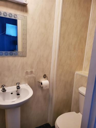 a bathroom with a sink and a toilet at the cumbrian hotel in Blackpool