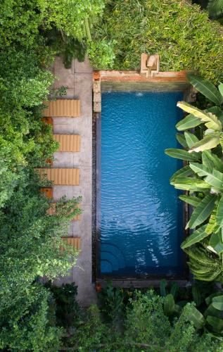 The Community - Siem Reap