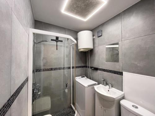 a bathroom with a shower and a sink and a toilet at IG Apartments in Karmėlava