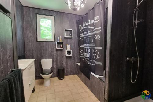 a bathroom with a shower and a toilet in it at Home from home in Le Haut-Corlay
