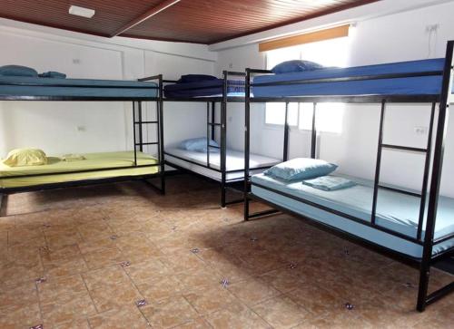 a group of bunk beds in a room at Blue venice in Venice