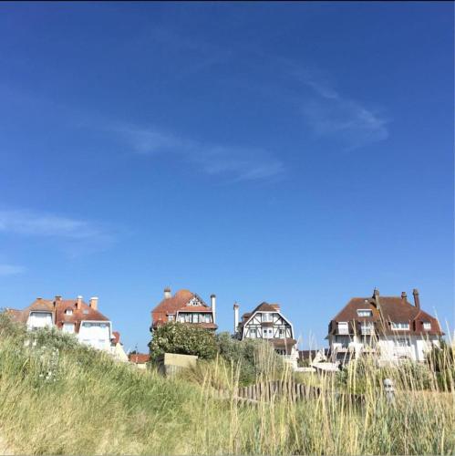 Entre Mer et Dunes de Pin