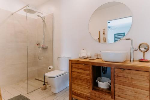 a bathroom with a toilet and a sink and a mirror at Habitation I'SEO Adult Only in Sainte-Anne