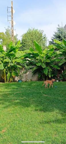 Zárva! Nem foglalható!