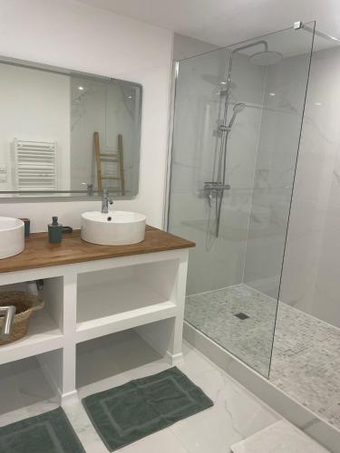 une salle de bain avec un lavabo et une douche en verre dans l'établissement Studio Les Hauteurs de Juziers, à Juziers