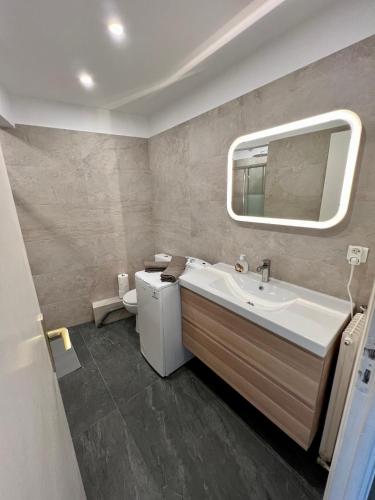 une salle de bain avec un lavabo, des toilettes et un miroir dans l'établissement Studio cosy et lumineux ,Boulevard Gambetta, Nice, à Nice