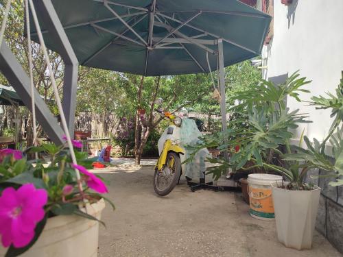 a motorcycle parked under an umbrella next to plants at Tiên Hoa Sơn Villa in Da Lat