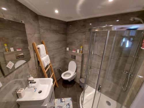 a bathroom with a shower and a toilet and a sink at Luxury marsa beach in La Marsa