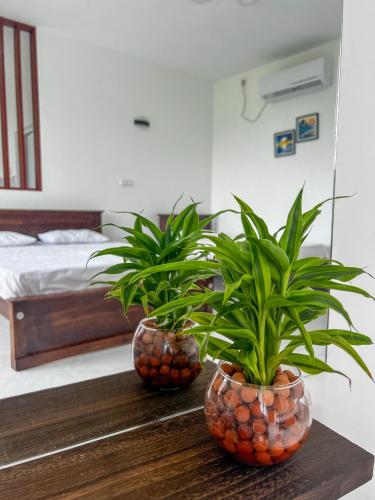 two potted plants on a table in a bedroom at Meridian Holiday Resort in Ratnapura