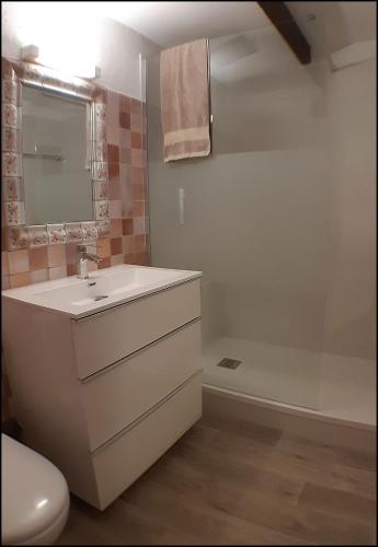 une salle de bain avec un lavabo, des toilettes et un miroir dans l'établissement Au jardin de la ferme - roses rouges, à Six-Fours-les-Plages