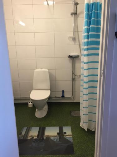 a bathroom with a toilet and a magazine at Piteå Golfhotell in Piteå