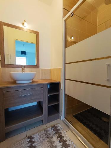 une salle de bain avec un lavabo et un miroir dans l'établissement Agréable maison au calme 5 min des plages Parking, à Concarneau