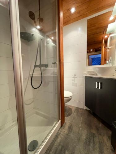 une salle de bain avec une douche, des toilettes et un lavabo dans l'établissement Réf 263, Seignosse océan, Villa Patio classée 3 étoiles avec Wifi à 150m de la plage, en bordure de forêt avec place de parking et piscine commune, à Seignosse
