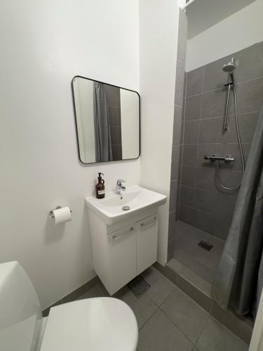 a bathroom with a sink and a shower with a mirror at Kattesundet Apartments Best Location in Copenhagen in Copenhagen