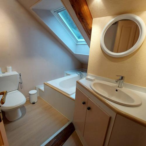 une salle de bain avec un lavabo, des toilettes et un miroir dans l'établissement Maison avec jardin 6-12 personnes, proche du lac Annecy montagnes, à La Balme-de-Thuy