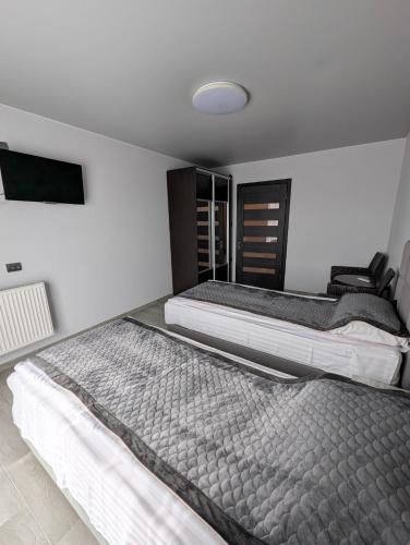 a bedroom with two beds and a tv on the wall at Ізумруд in Chop