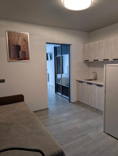 a room with a kitchen with a counter and a refrigerator at Ізумруд in Chop