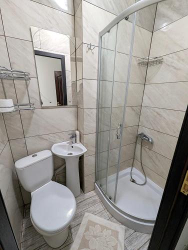 a bathroom with a toilet and a shower and a sink at Ізумруд in Chop