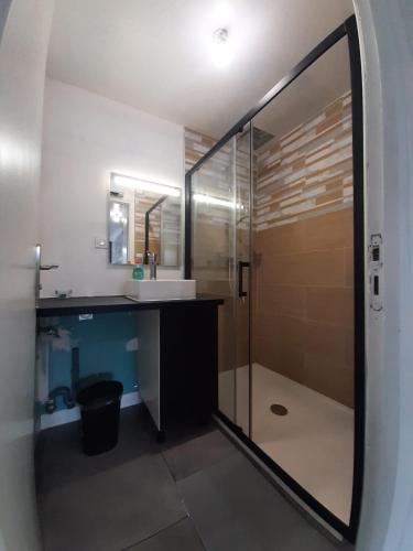 une salle de bain avec une douche, un lavabo et un miroir dans l'établissement Le beau T3 Fonneuve clim parking facile, à Montauban