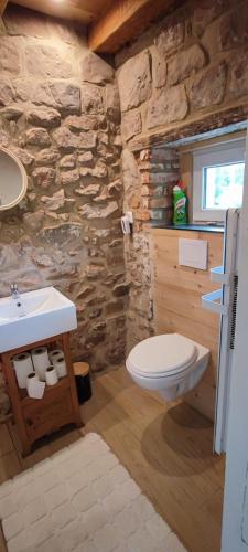 une salle de bain en pierre avec toilettes et lavabo dans l'établissement L'authentique, à Lièpvre