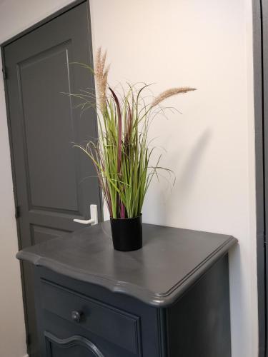 a black cabinet with a potted plant on it at La petite maison de poncho in Le Blanc