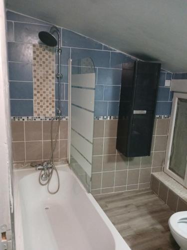 une salle de bain avec baignoire et toilettes dans l'établissement Maison de bourg entre Nantes et Cholet, à Saint-Crespin-sur-Moine