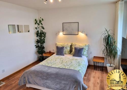 a bedroom with a bed with two blue pillows at Apartamenty Bolesławiec Spółdzielcza Free parking in Bolesławiec