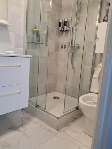 une salle de bain avec douche et toilettes dans l'établissement Studio bord de mer, à Courseulles-sur-Mer