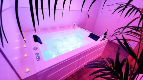Photo de la galerie de l'établissement Appart SPA 80m2 avec terrasse balcon jacuzzi et sauna privatif en hyper centre Place Drouet d'Erlon, à Reims