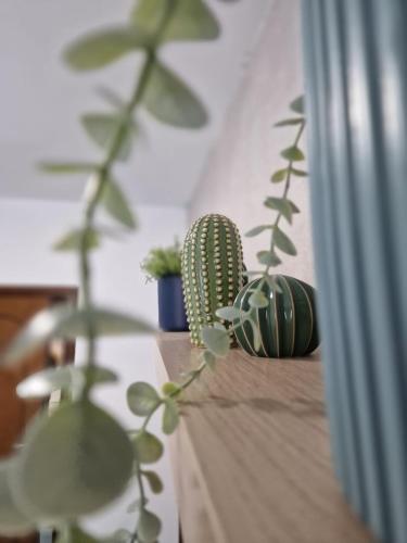 a couple of plants sitting on a wooden table at Znc Holiday House in Cetara
