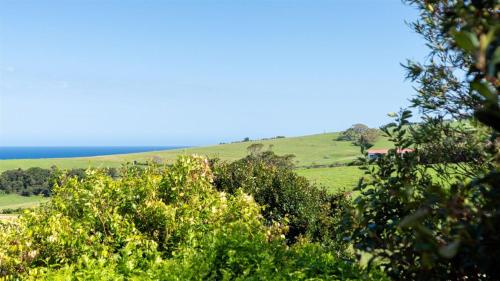 a hill in the distance with trees in the foreground at Heights Hideaway in Kiama
