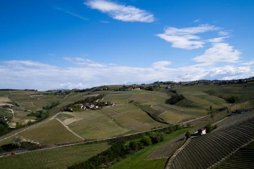 an overhead view of a green field with trees at Agriturismo Rivella in Barbaresco