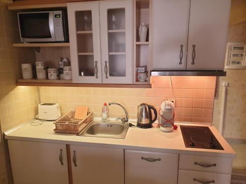 een aanrecht met een spoelbak en een magnetron bij Lux centar kopaonik in Kopaonik