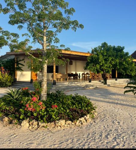 Zahrada ubytování Palmera Zanzibar Eco Boutique Hotel