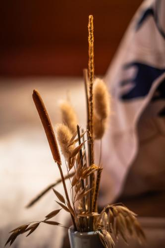 a vase with wheat plants in it with a person at Rustikalna kuća Snowdrop s kaminom u Begovom Razdolju, Gorski kotar in Begovo Razdolje