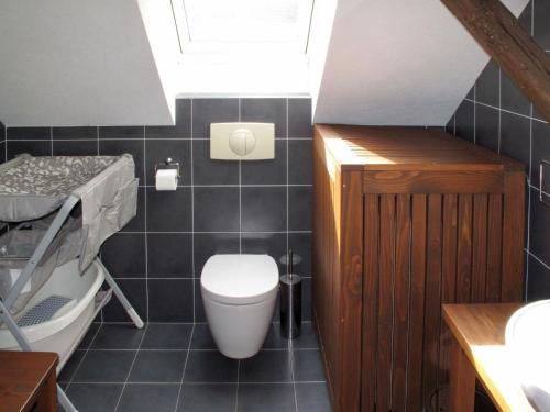 a small bathroom with a toilet and a sink at Holiday Home Holetín by Interhome in Horní Holetín