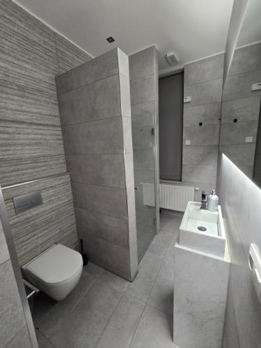 a bathroom with a white toilet and a sink at L' Gante in Ghent