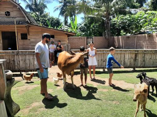 a group of people looking at a cow and some dogs at Camplung Beach Family Villa and Farmstead in Tejakula
