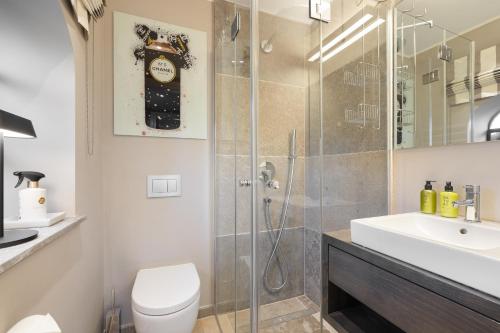 a bathroom with a shower and a toilet and a sink at Greta s Hüs in Archsum