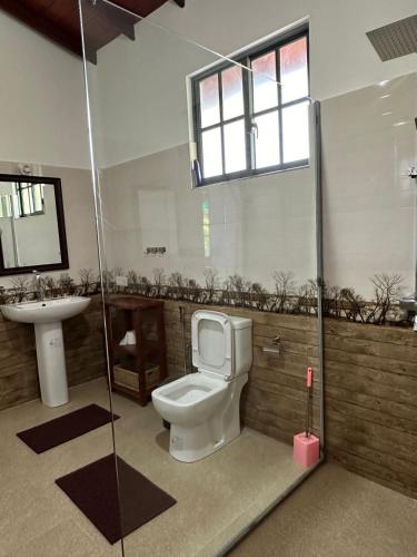 a bathroom with a toilet and a sink at LiliVilla Srilanka in Aluthgama