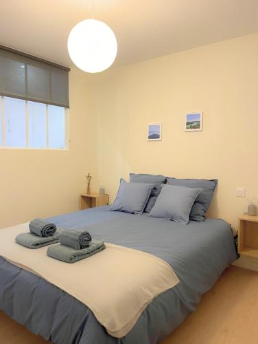 une chambre avec un grand lit avec des serviettes dessus dans l'établissement Le Tilleul, au coeur du centre historique, à Lons-le-Saunier