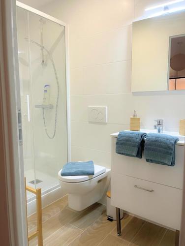 une salle de bain blanche avec toilettes et douche dans l'établissement Le Tilleul, au coeur du centre historique, à Lons-le-Saunier