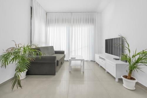 埃拉特Luxury Suite Apartment With Sea View #55 By Hashdera Eilat的带沙发和两株盆栽植物的客厅