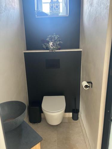 a small bathroom with a toilet and a sink at Feelathome De Kust in Middelkerke