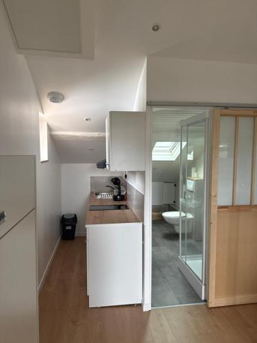 une cuisine blanche avec un comptoir et un évier dans l'établissement Studio secteur rives de meurthe, à Nancy