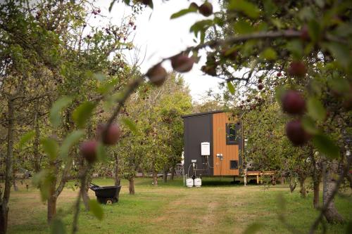 a house in the middle of an apple orchard at Applewood Cabin 2 by Tiny Away in Christchurch