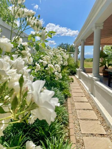 a garden with white flowers next to a porch at 1 Royal Street Guesthouse in Riebeek-Kasteel