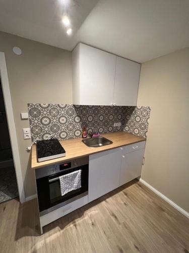 a small kitchen with a sink and a stove at Moon Monteur Apartment in Rodenbach