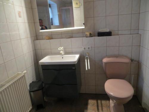 a bathroom with a toilet and a sink and a mirror at Ferienwohnungen Breternitz in Steinach