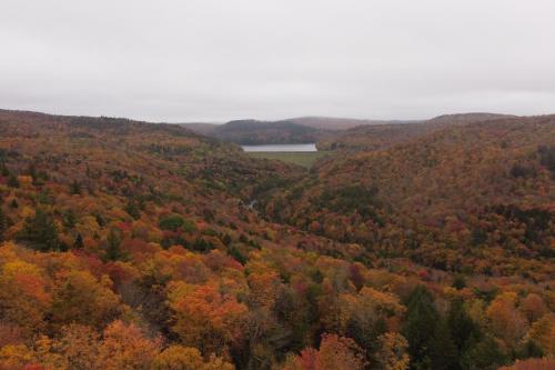 an autumn view of a forest with a lake at Timber Riverhouse in Readsboro